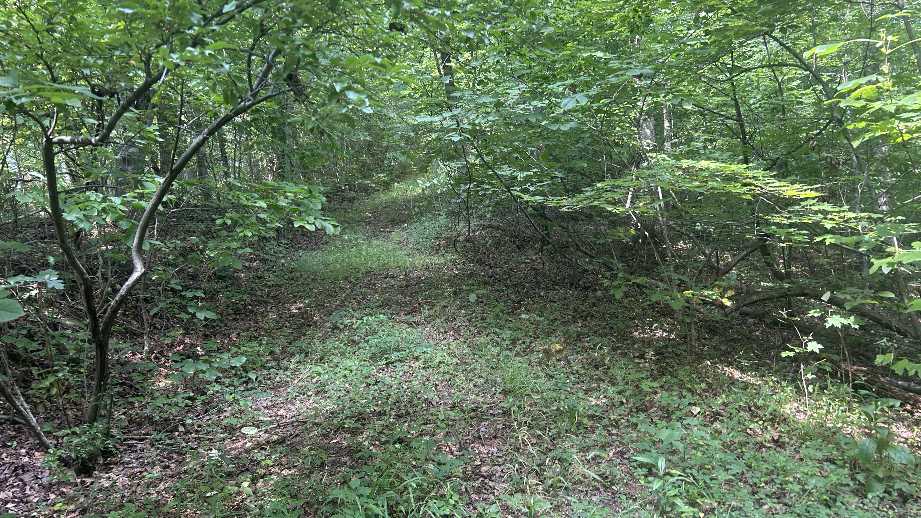 2045 Teges Creek Road Manchester, KY 40962 - Photo 61 of 78 (Upload-from-mobile-1786649072)IMG_6340