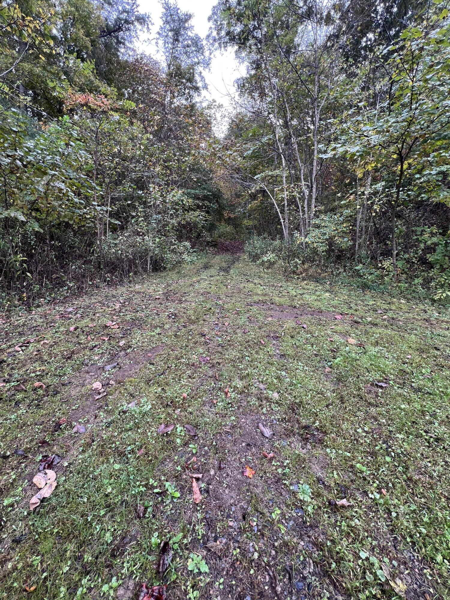 9095 Winchester Road Irvine, KY 40336 - Photo 70 of 78 IMG_1933(1)