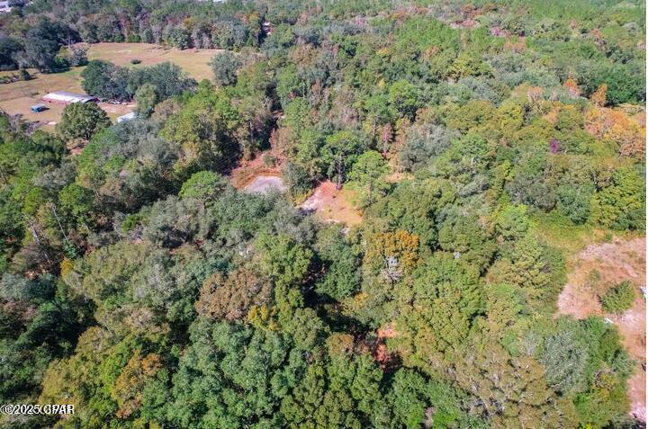 1873 Adolph Whitaker Road Bonifay, FL 32425 - Photo 13 of 20