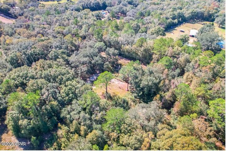 1873 Adolph Whitaker Road Bonifay, FL 32425 - Photo 16 of 20