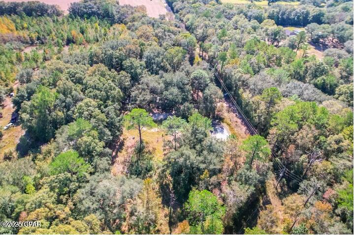 1873 Adolph Whitaker Road Bonifay, FL 32425 - Photo 17 of 20