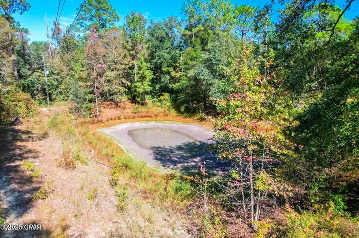 1873 Adolph Whitaker Road Bonifay, FL 32425 - Photo 3 of 20