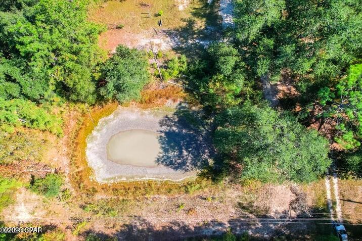 1873 Adolph Whitaker Road Bonifay, FL 32425 - Photo 4 of 20