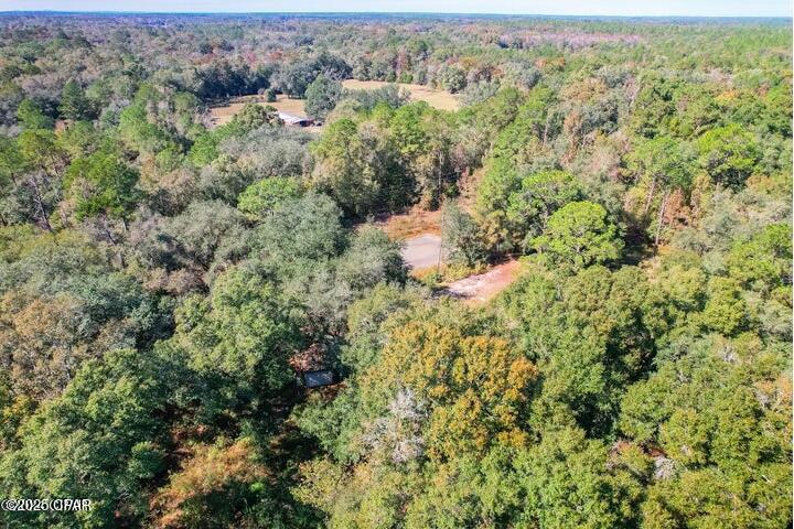 1873 Adolph Whitaker Road Bonifay, FL 32425 - Photo 7 of 20