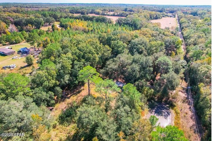 1873 Adolph Whitaker Road Bonifay, FL 32425 - Photo 9 of 20