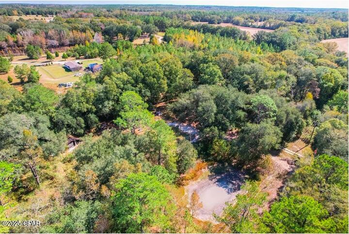 1873 Adolph Whitaker Road Bonifay, FL 32425 - Photo 10 of 20