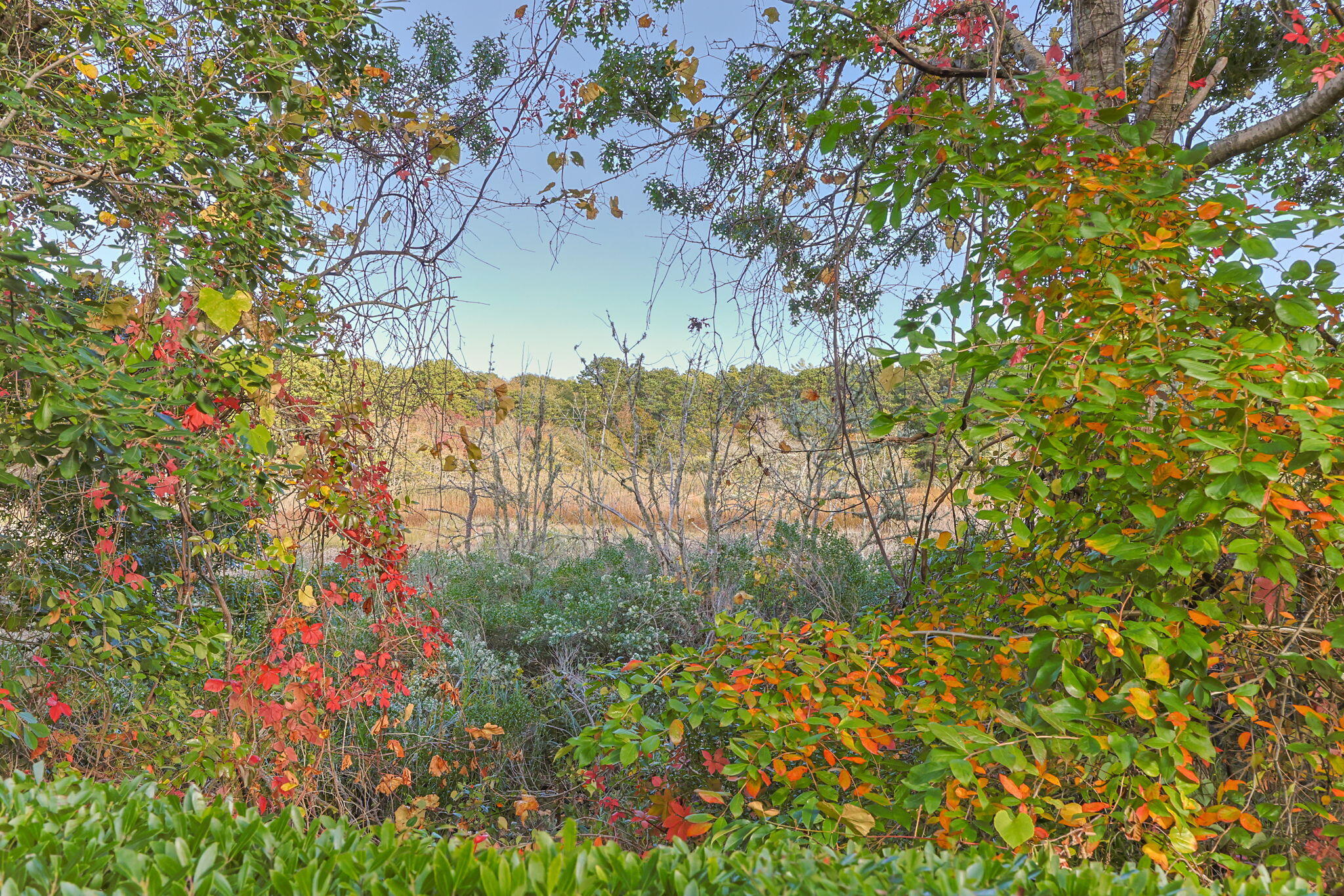 381 Great Oak Road, Unit 9 Mashpee, MA 02649 - Photo 51 of 69 63-web-or-mls-381-great-oak-rd