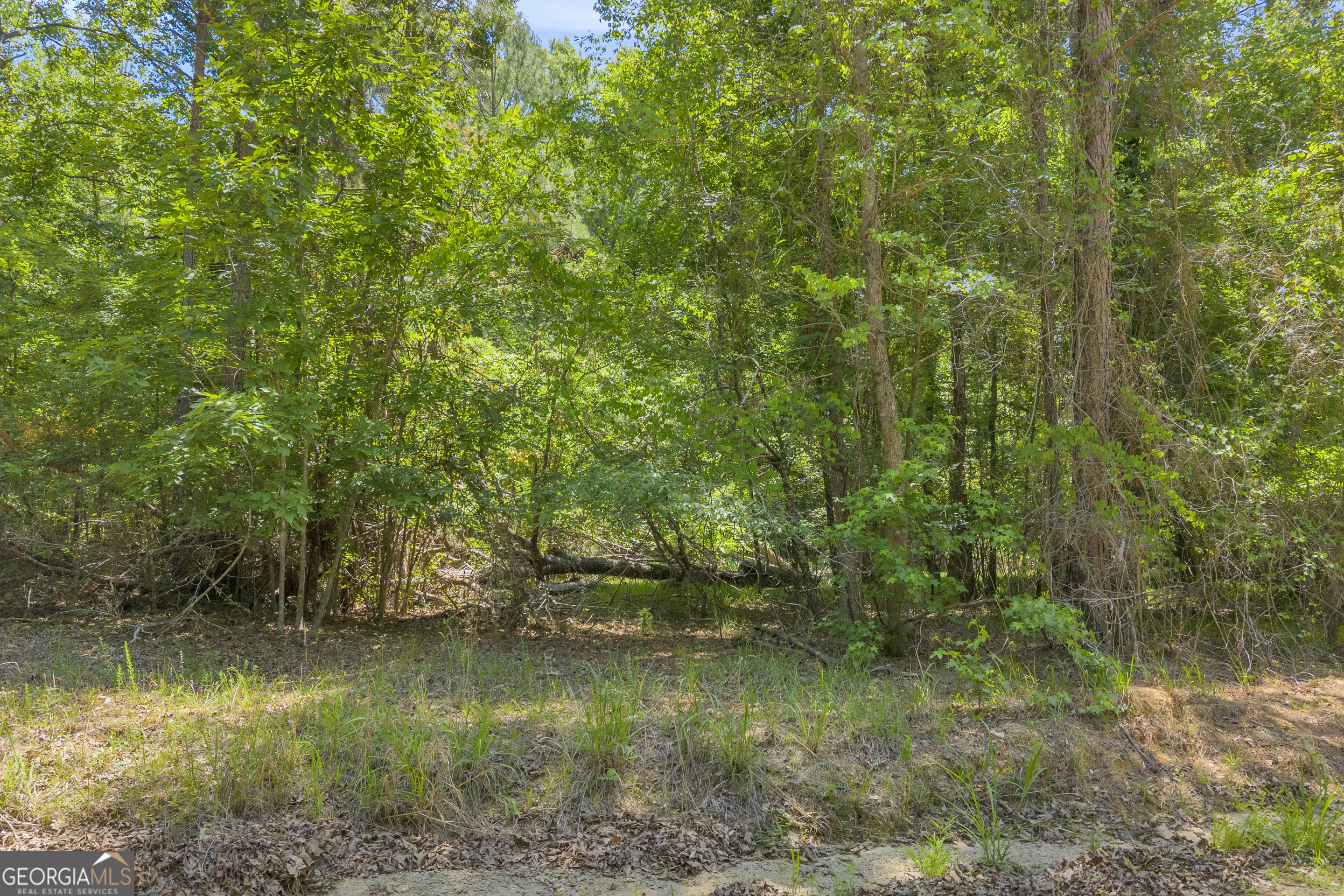 0 Hidden Harbor Road Lincolnton, GA 30817 - Photo 13 of 58