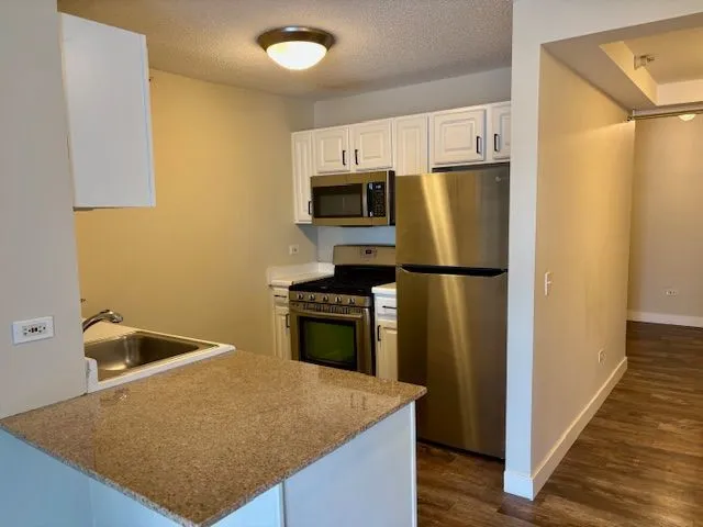 $2,400 | 545 North Dearborn Street, Unit W2905, Chicago, IL 60654