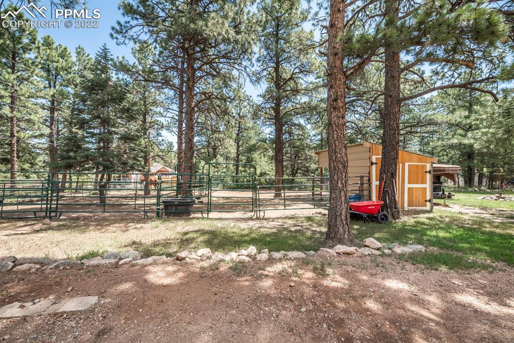8181 Maple Drive Rye, CO 81069 - Photo 26 of 50 a view of a park with large trees