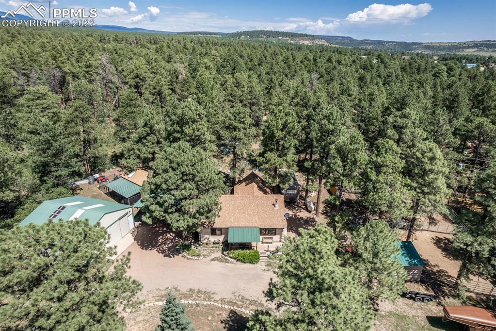 8181 Maple Drive Rye, CO 81069 - Photo 38 of 50 a aerial view of a house with a yard and a large tree