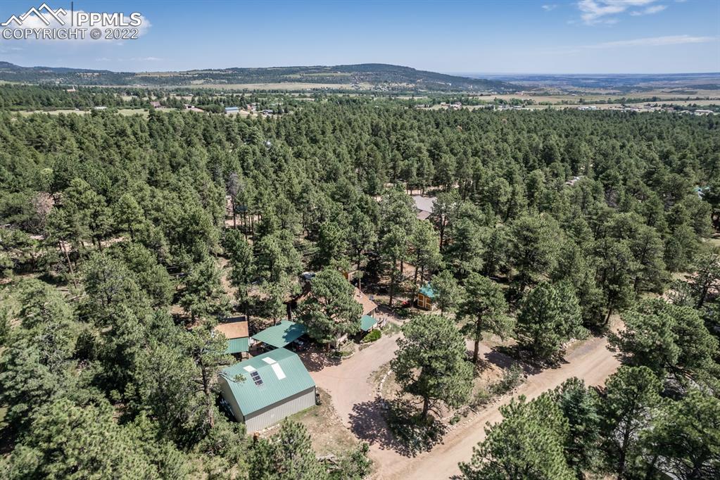 8181 Maple Drive Rye, CO 81069 - Photo 43 of 50 an aerial view of a residential houses with outdoor space and trees