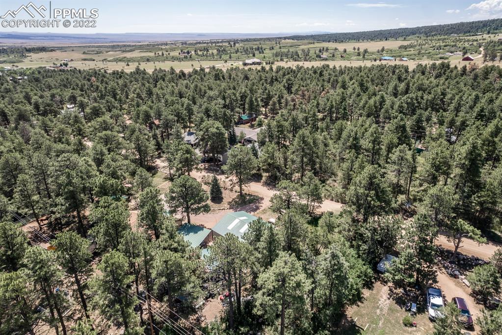 8181 Maple Drive Rye, CO 81069 - Photo 45 of 50 a view of a city with lush green forest