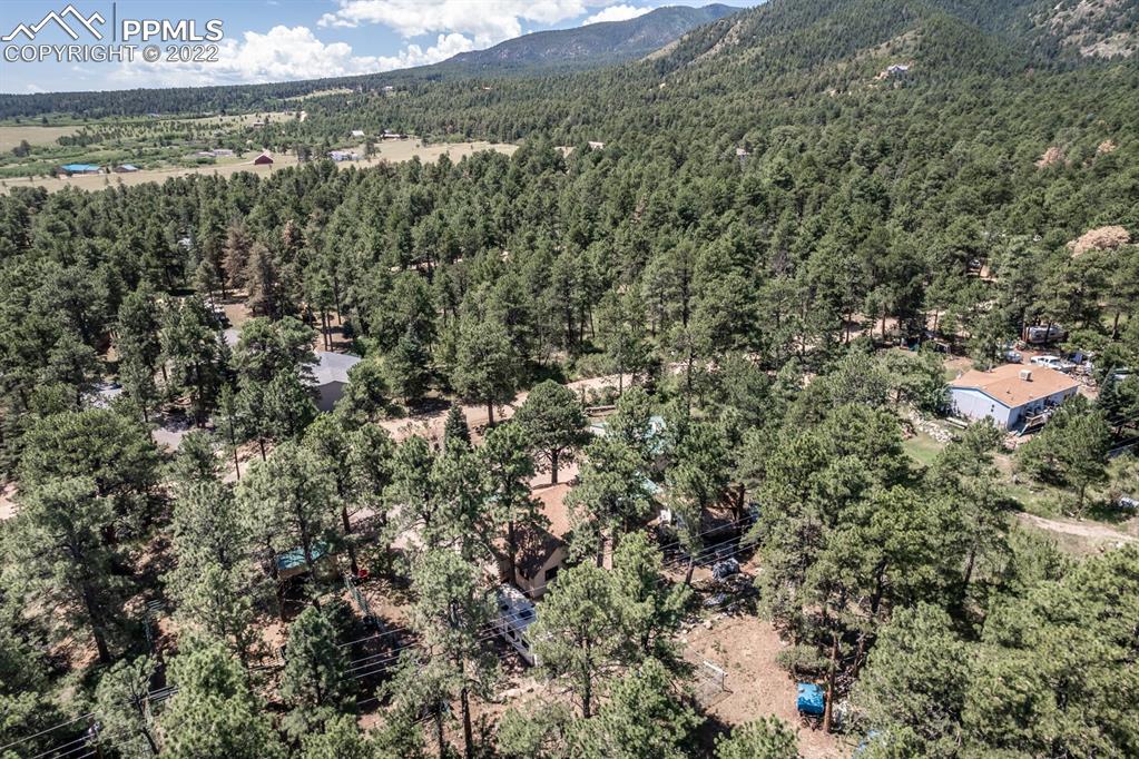 8181 Maple Drive Rye, CO 81069 - Photo 48 of 50 a view of a yard with a tree