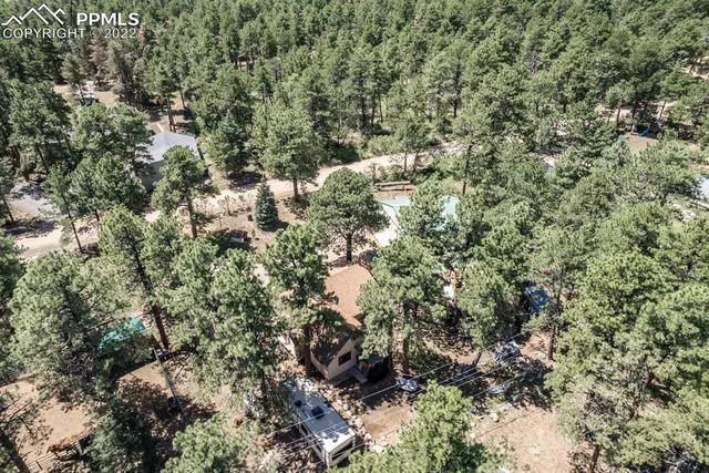 a view of a house with a lush green forest