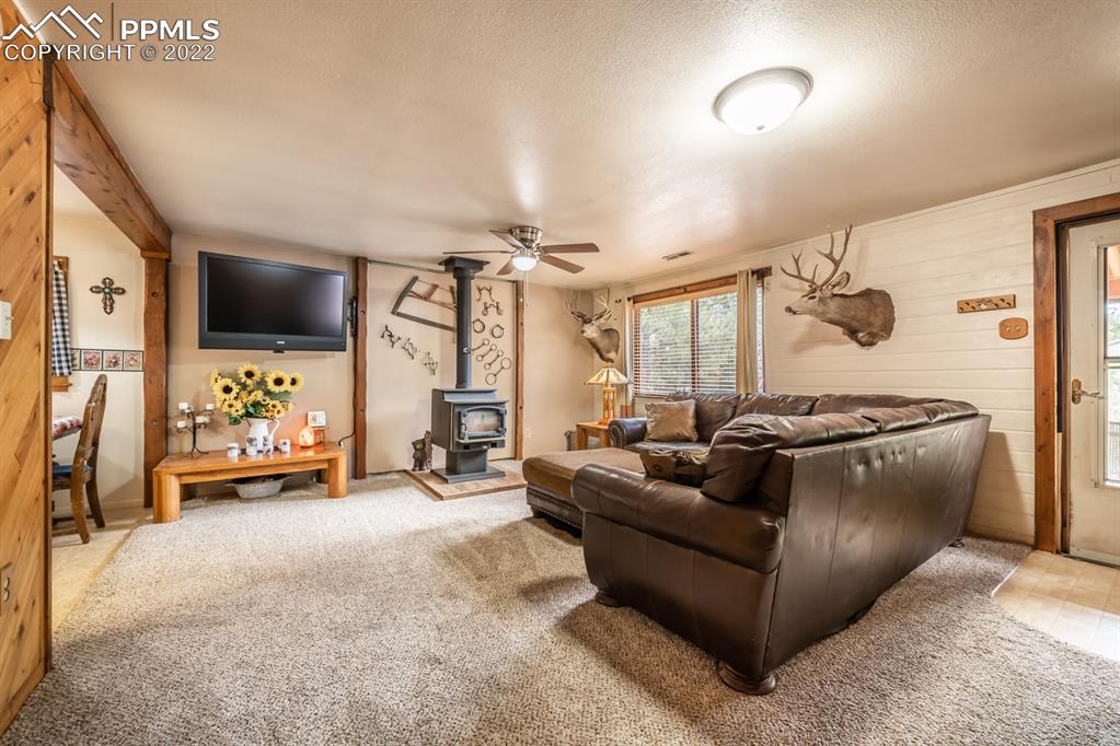 8181 Maple Drive Rye, CO 81069 - Photo 6 of 50 a living room with furniture and a flat screen tv
