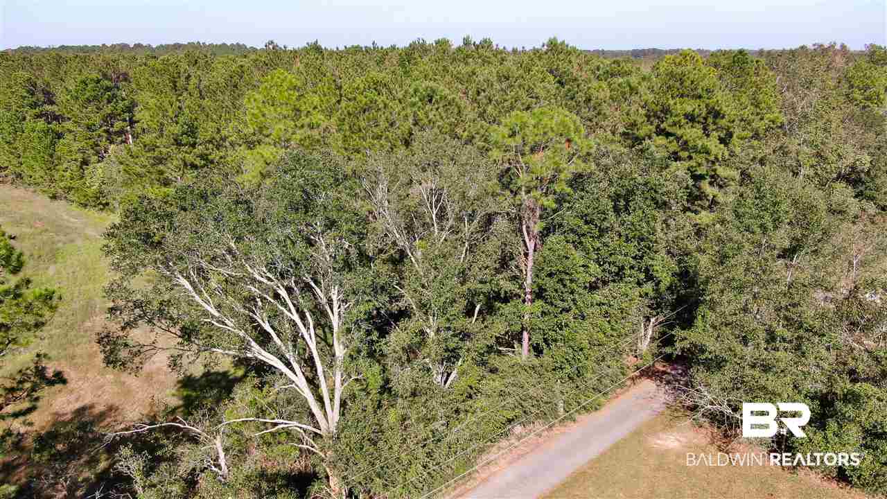 10685 John Little Road Bay Minette, AL 36507 - Photo 5 of 16