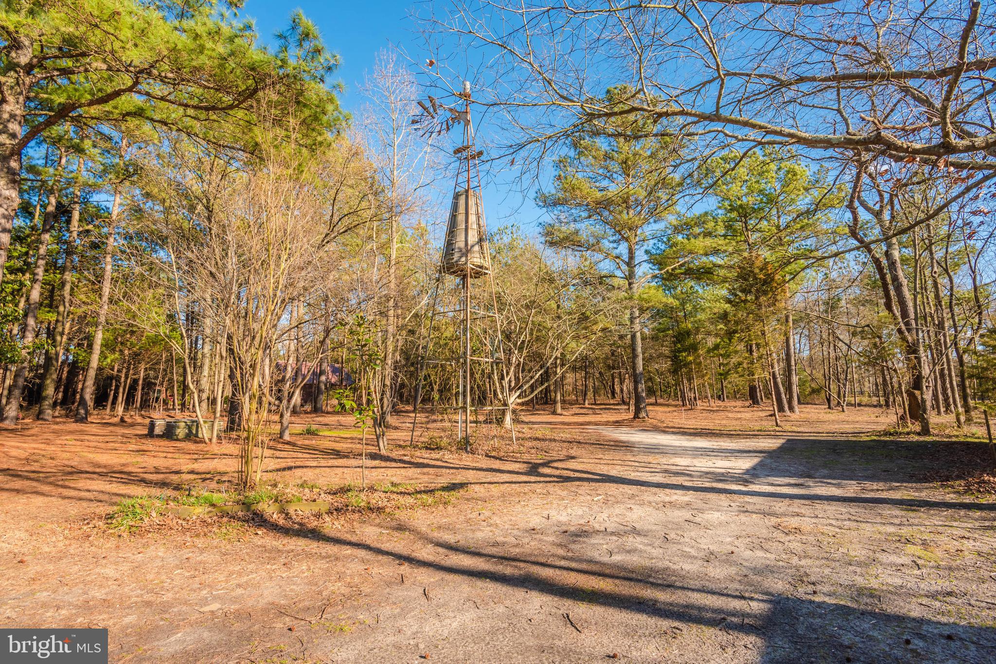 27933 Riverside Drive Salisbury, MD 21801 - Photo 78 of 85 Gallery Image 78