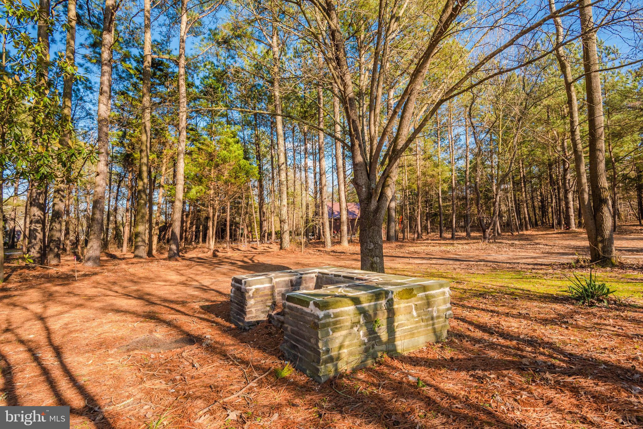 27933 Riverside Drive Salisbury, MD 21801 - Photo 80 of 85 Gallery Image 80