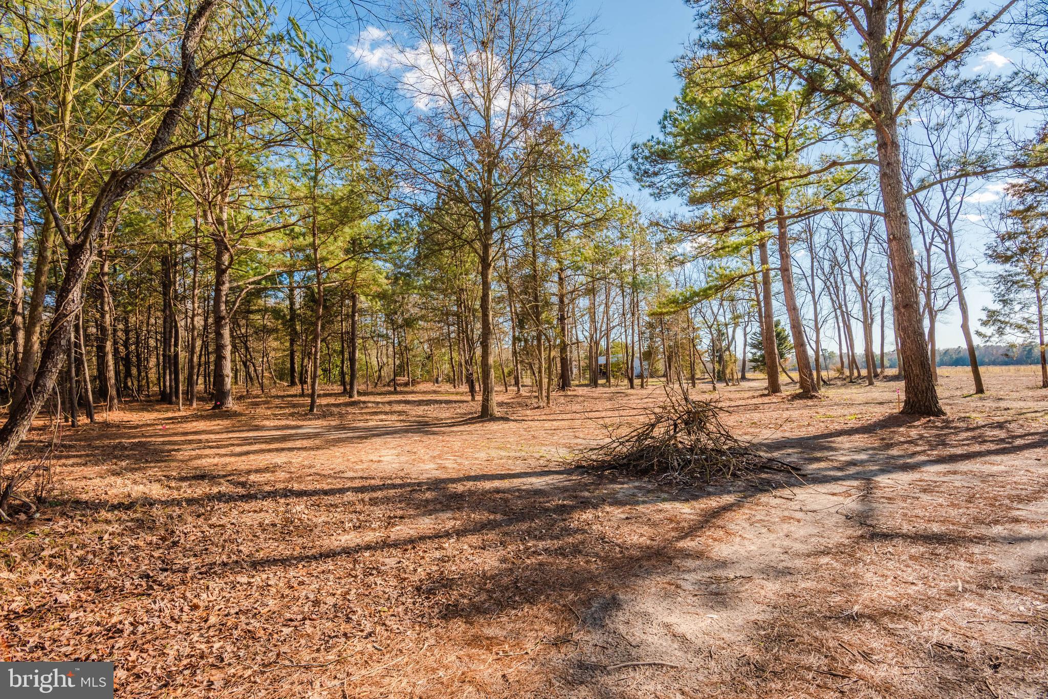 27933 Riverside Drive Salisbury, MD 21801 - Photo 82 of 85 Gallery Image 82