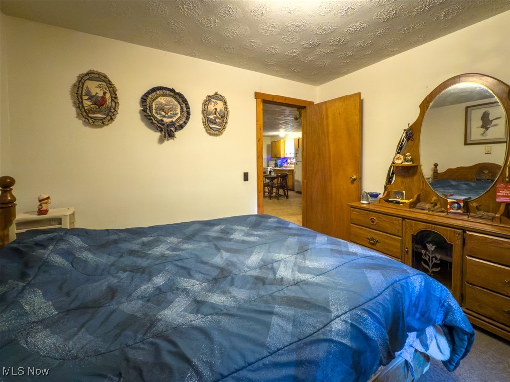 34390 Barber Ridge Road Lewisville, OH 43754 - Photo 22 of 50 Carpeted bedroom featuring a textured ceiling