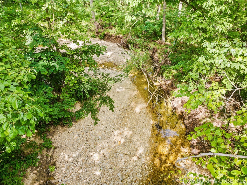 Broads Branch Road Macks Creek, MO 65786 - Photo 8 of 13 Creek on back of Lot