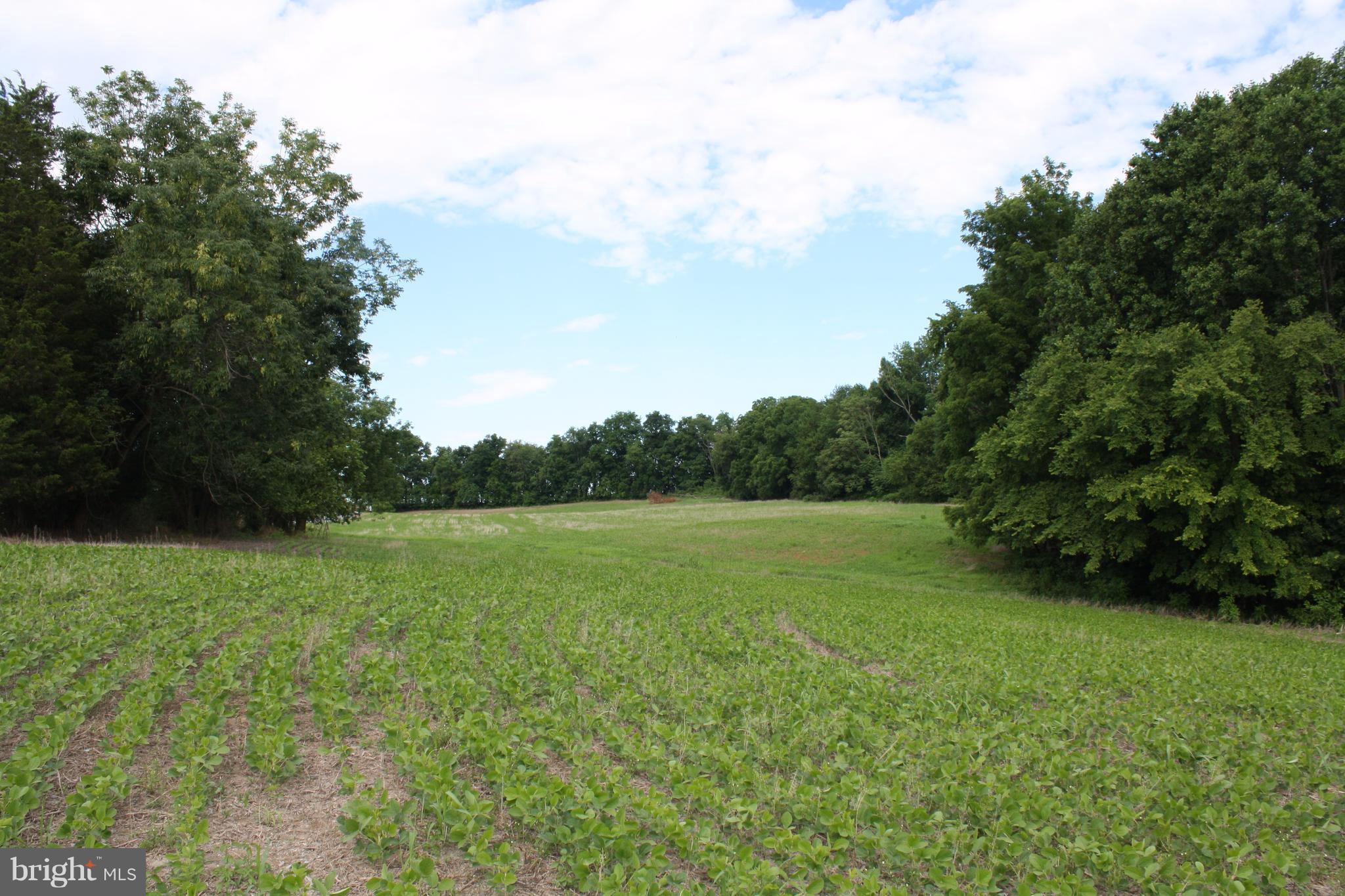 12602A New Windsor Road Union Bridge, MD 21791 - Photo 1 of 5 a view of field with tall trees