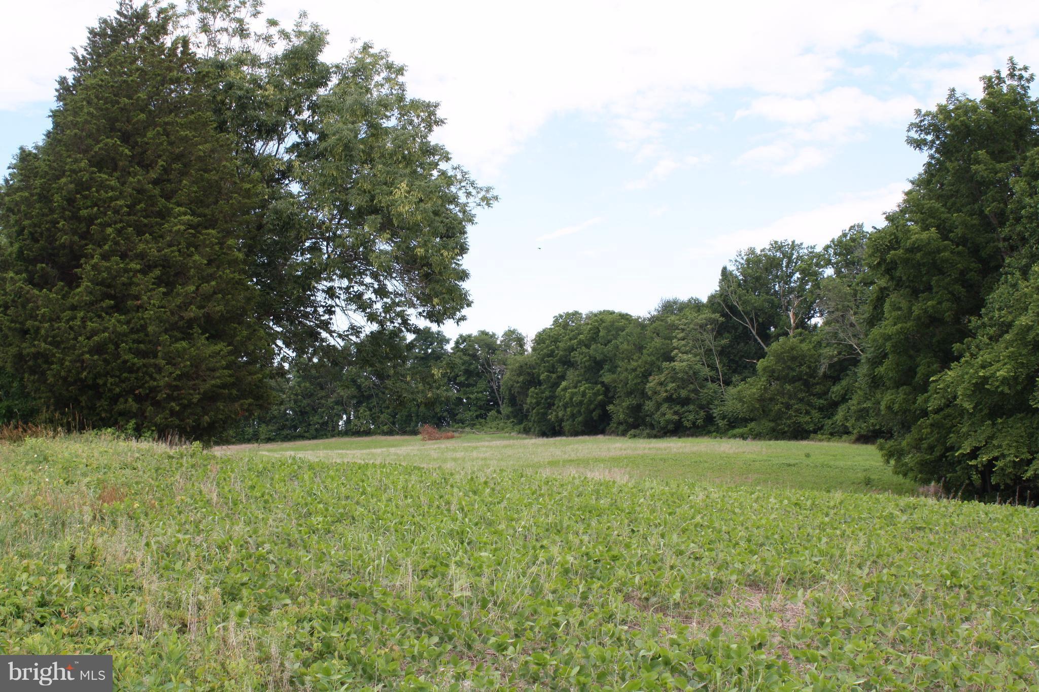 12602A New Windsor Road Union Bridge, MD 21791 - Photo 3 of 5 a view of a green field with a tree