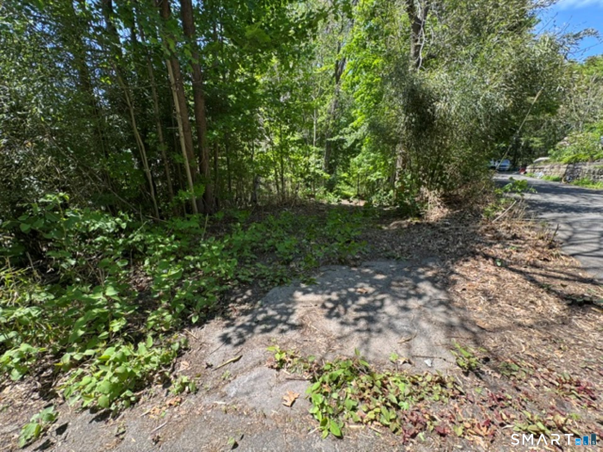 0 Wooster Street Naugatuck, CT 06770 - Photo 2 of 9 a backyard of a house with lots of green space