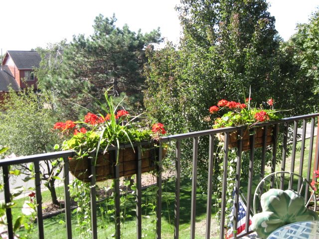 875 GreenView Court, Unit 63 Rochester, MI 48307 - Photo 56 of 81 31397243-55.JPG