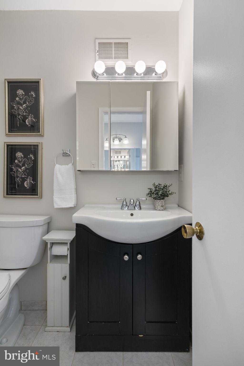 7102 Bear Court Springfield, VA 22153 - Photo 30 of 65 Primary Ensuite