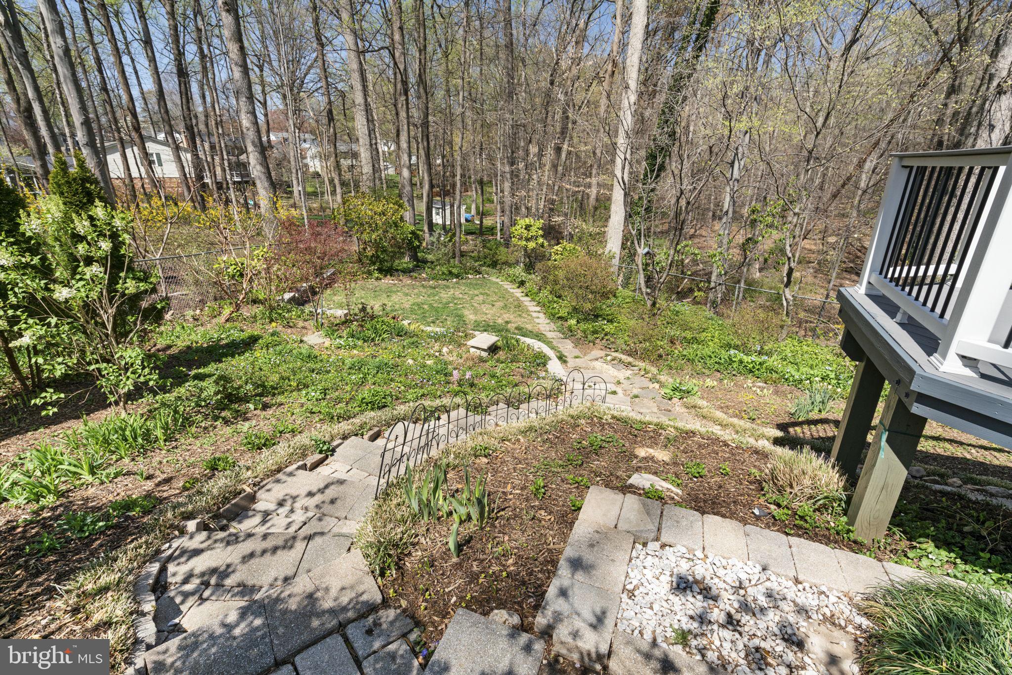 7102 Bear Court Springfield, VA 22153 - Photo 51 of 65 Back Yard