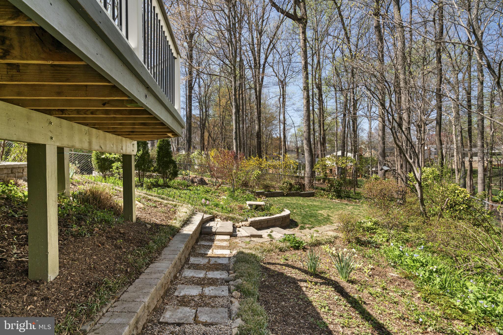 7102 Bear Court Springfield, VA 22153 - Photo 55 of 65 Back Yard