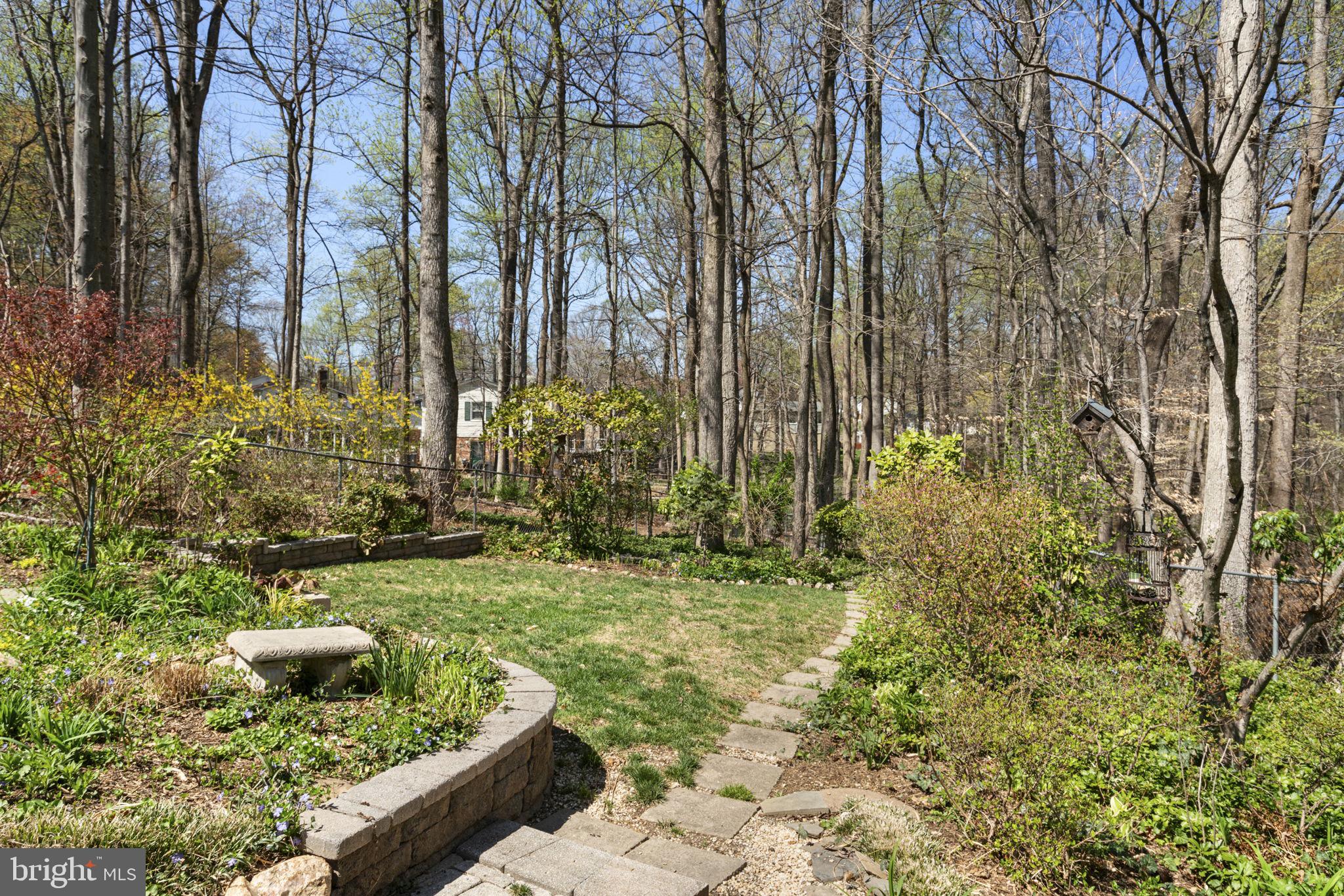7102 Bear Court Springfield, VA 22153 - Photo 56 of 65 Park Like Back Yard