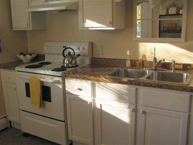 204 Main Street Walkerville, MI 49459 - Photo 11 of 24 Additional Photo