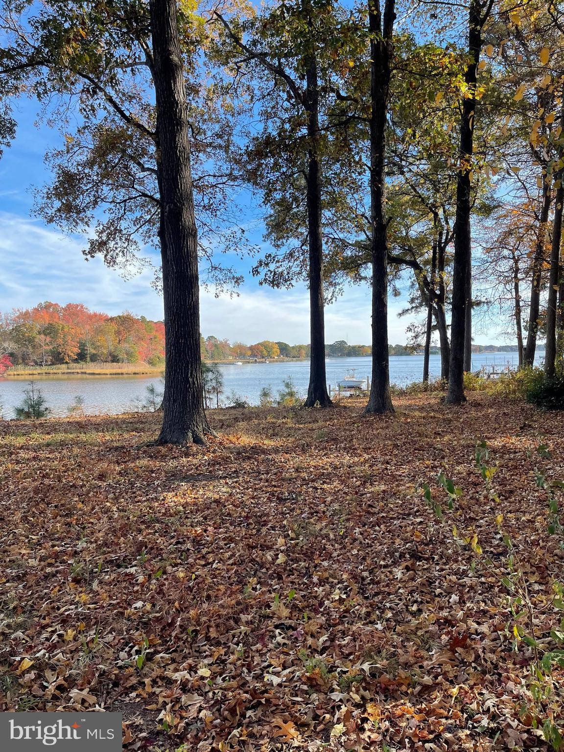 Lot 3 South Piney Point Road Bishopville, MD 21813 - Photo 1 of 21 Gallery Image 1