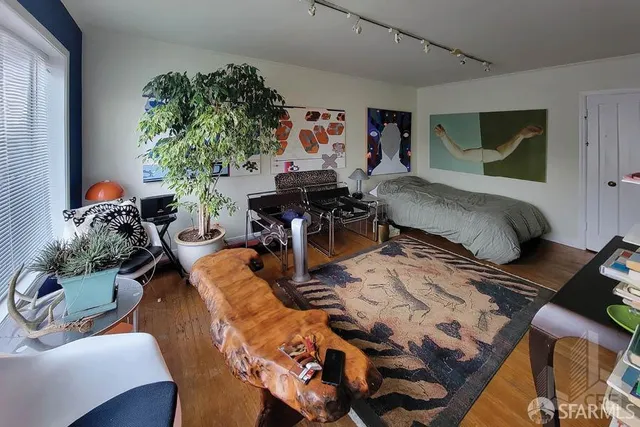a living room with furniture and a potted plant