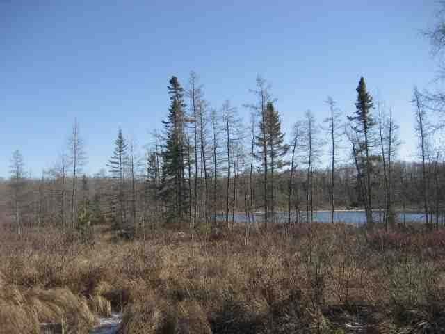 Tbd Caroline Lake Road Upson, WI 54565 - Photo 1 of 12 Gallery Image 1