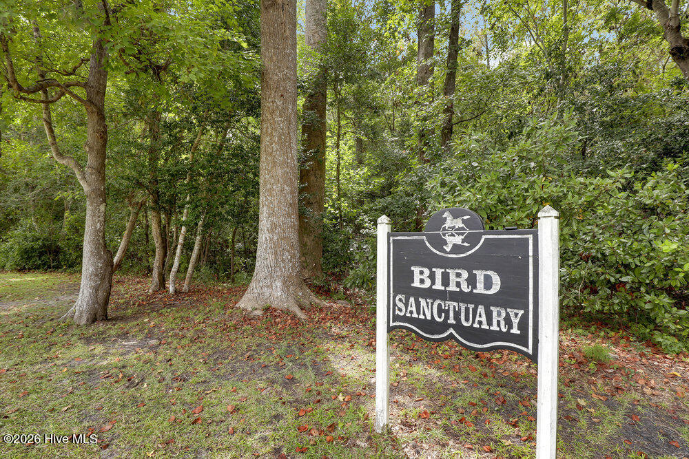 350 Whitebridge Road Hampstead, NC 28443 - Photo 93 of 101 073_6g8a8823_594