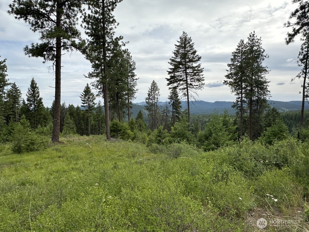 3600 Sheridan Road, Unit P Republic, WA 99166 - Photo 1 of 8 Gallery Image 1