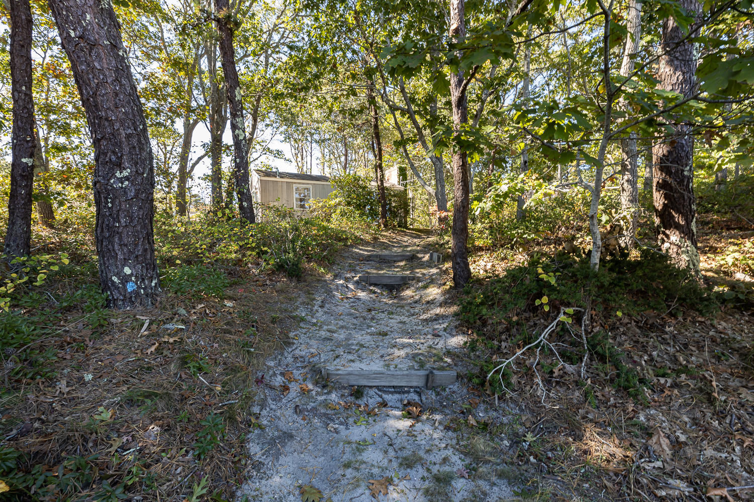 54 Lowell Road Cotuit, MA 02635 - Photo 3 of 25 Additional Photo