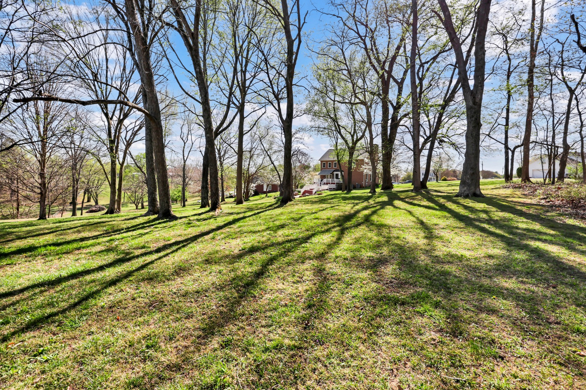 930 Doe Run Court Adams, TN 37010 - Photo 55 of 63