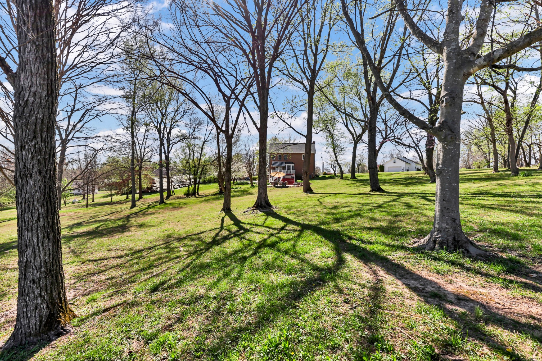 930 Doe Run Court Adams, TN 37010 - Photo 56 of 63