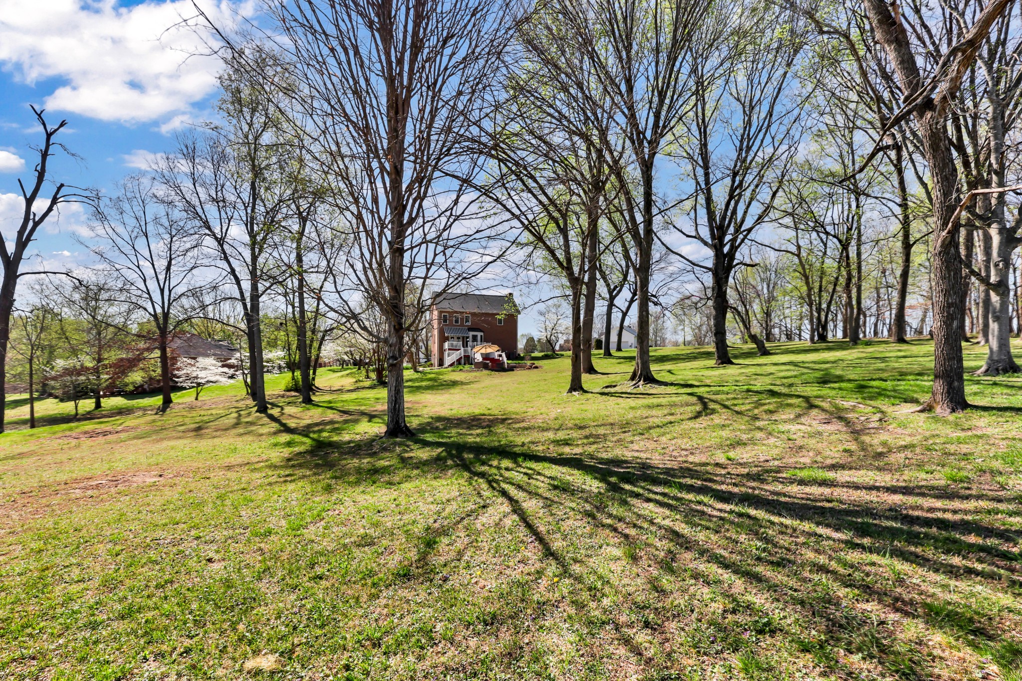 930 Doe Run Court Adams, TN 37010 - Photo 57 of 63