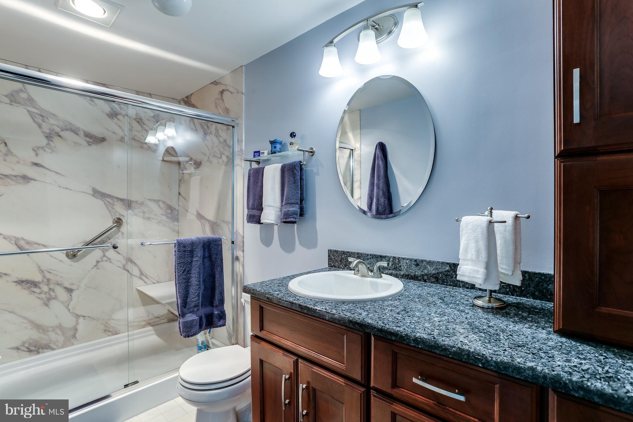 5431 Vantage Point Road Columbia, MD 21044 - Photo 16 of 29 a bathroom with a toilet sink and mirror