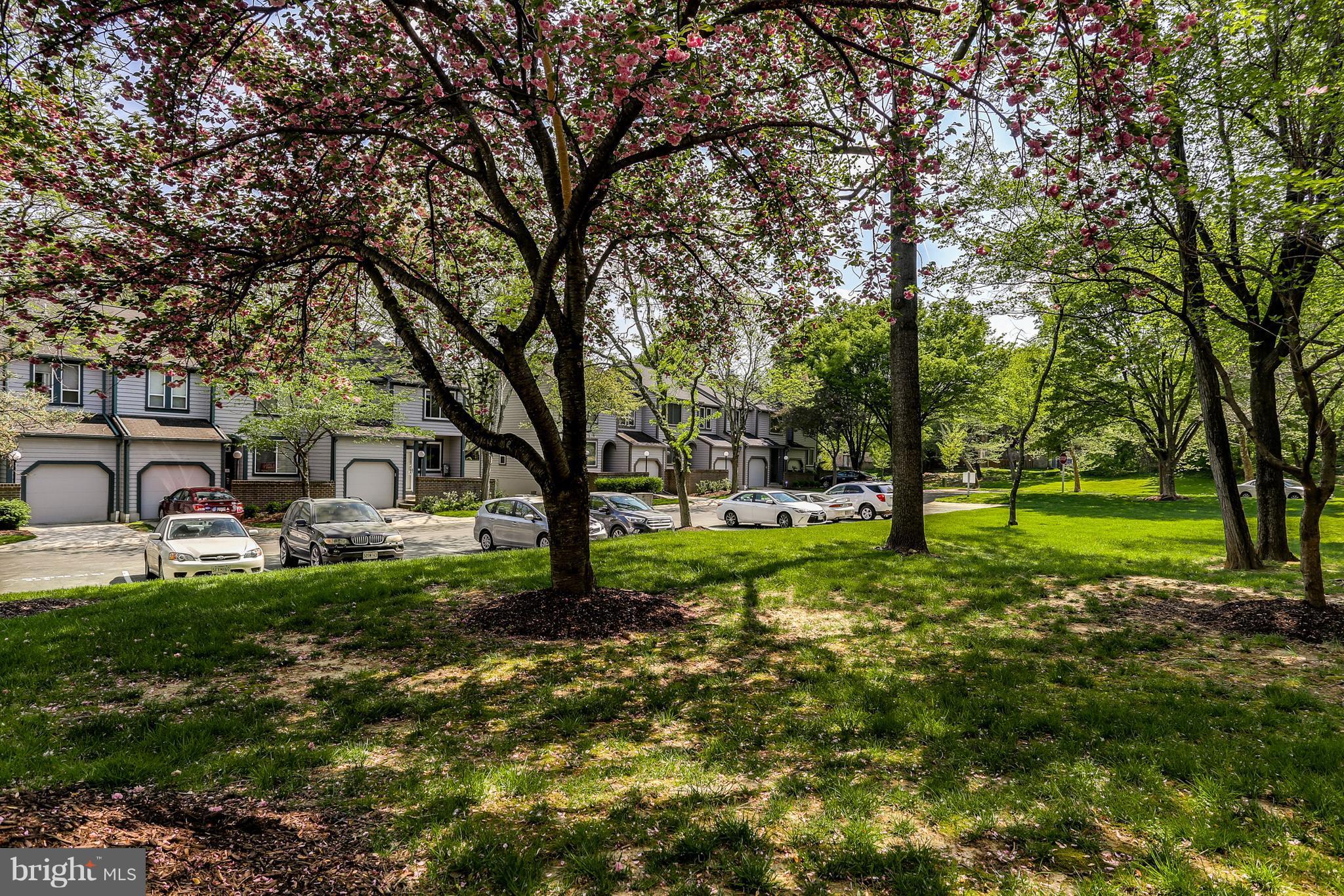 5431 Vantage Point Road Columbia, MD 21044 - Photo 25 of 29 a view of backyard with table and chairs and large trees