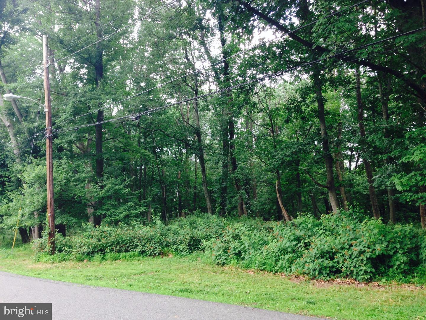 0 Blue Ridge Road Titusville, NJ 08560 - Photo 4 of 7 Gallery Image 4