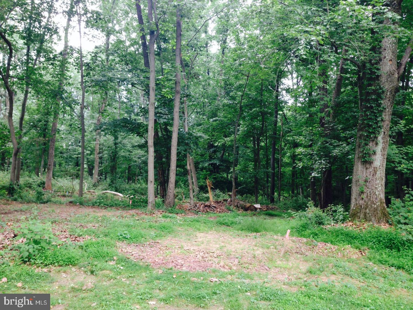 0 Blue Ridge Road Titusville, NJ 08560 - Photo 6 of 7 Gallery Image 6