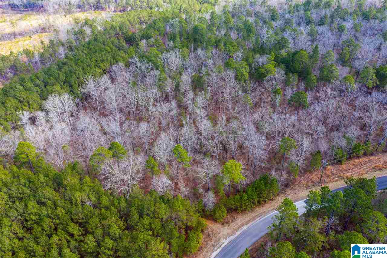 Shore Side Lane Sylacauga, AL 35151 - Photo 3 of 15