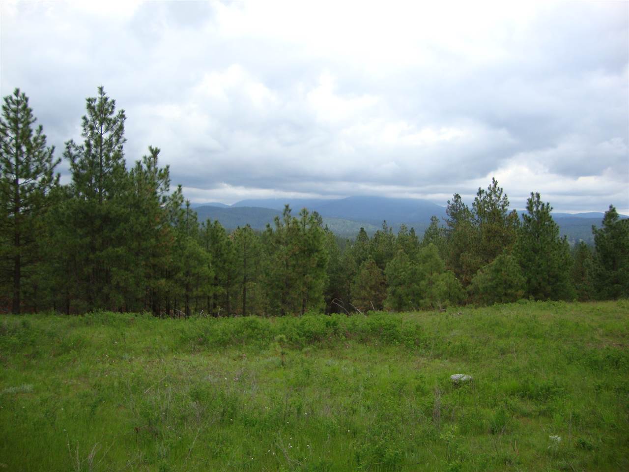 38821 North Madison Road Elk, WA 99009 - Photo 1 of 20